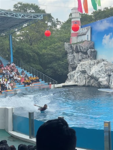 Arya Menon on Instagram: "Why isn’t my love for Thai bubble tea reciprocated? 😭🧋 . .travel partner: @aldinholidays ✨ . . #thailand #bangkok #travelling #outfitinspo #safariworld"