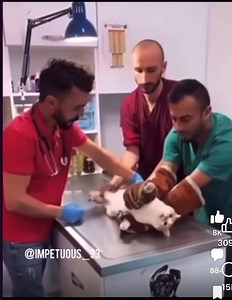 warning, profanity!😂🤣😆 | Soke Guy C