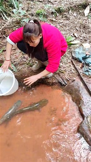 Old-school fishing, new-level peace 😍🎣 #FishingVibes #VillageLife