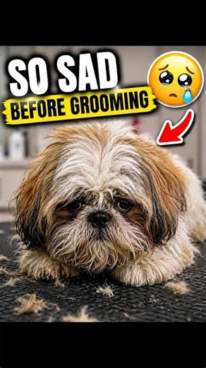 The Dirtiest Dog EVER!!