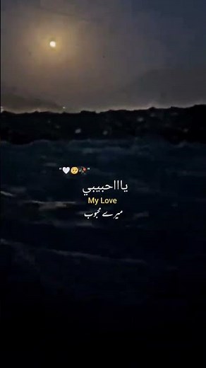 e wallah mushtaq lak e wallah mahtaj lak | status song | @short sOng