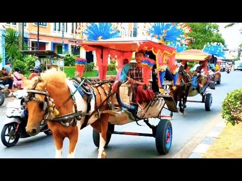 Naik delman istimewa~lagu anak populer Indonesia~lagu anak anak~kuda tunggang