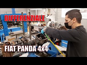 Differenziale Panda 4x4