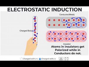 Electrostatic Induction in Metals and Insulators Animated | Physics Animations and Simulations
