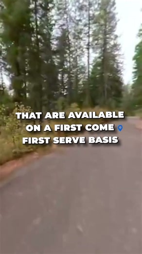 Bell Bay Campground—Lake Views, Pines, and Perfect Peace