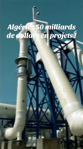 50 milliards de dollars de projets en Algerie ! #algerie #algeria #economie