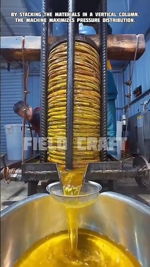 Pure & Pressed✨The Secrets of Cold Pressed Oil