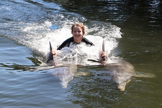 Dolphin Interactions - Theater of the Sea