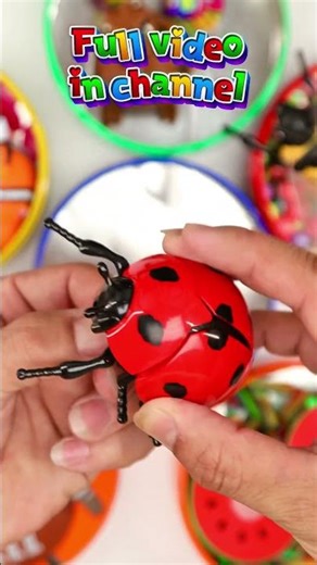 ASMR Chocolate 🍫 Crunch #asmr #satisfying #asmrforrelax #toyswala #candy