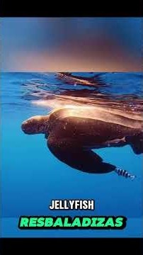 5 animals that travel incredible distances just to find food 😱🤯