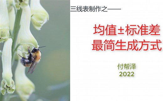 三线表，均值±标准差的最简生成方式