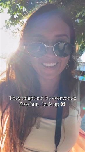 Why do I find them so cute? 😂🦇 They’re like little chihuahuas of the sky… so ugly that they’re actually adorable. I know most people think bats are kind of yucky, but look at these little faces. These are fruit bats, also called flying foxes, and they play such an important role here in the Maldives by pollinating trees and spreading seeds between islands. P.S. Sorry about the poop shot but I had to keep it in. I had no idea they flip right side up to go to the bathroom. Makes total sense but 