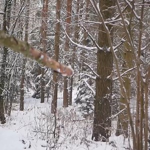 1M views · 10K reactions | Bushcraft Pro I live in a dugout, Snow storm, House underground. | Craft Man | Facebook