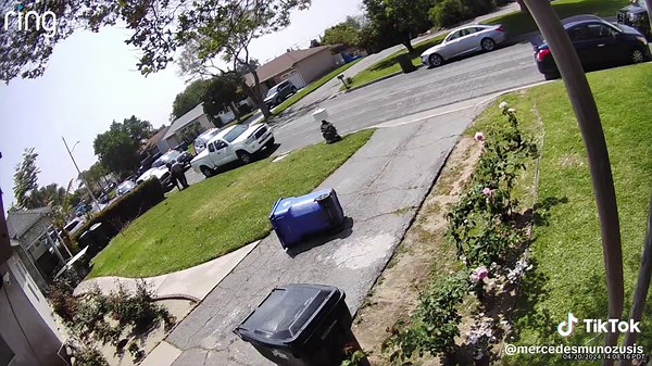 Norma Munoz Arrested for Shooting Incident | Mercedes Munoz TikTok Account