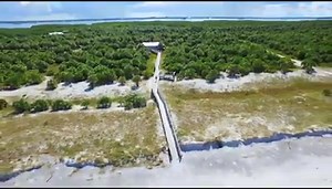 33 reactions | Need a moment of sunshine? How about a full week of them. Plan a trip to Florida today. | VISIT FLORIDA | Facebook