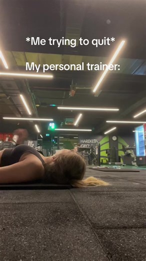 Cat Gym in Istanbul: Cats Exercising in Style