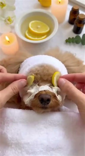 Use Cucumbers instead of lemons