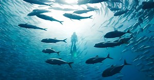 15 Mindless Feel-Good Shows to Zone Out With on Netflix - FASHION Magazine