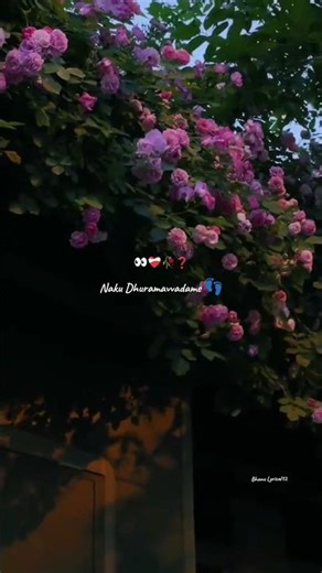 Nenu Local: Yekkada Yekkada (Sad) Full Video Song - Nani, Keerthy Suresh