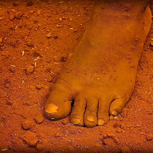 Boost Your Video Engagement with Hollywood Movie Edits