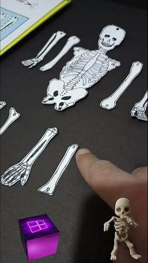 How to Make a Skeleton Puppet 🔥🔥🔥 5th Grade Science Homework 🏫🏫🏫 #explore #homework #schoolhomewo...