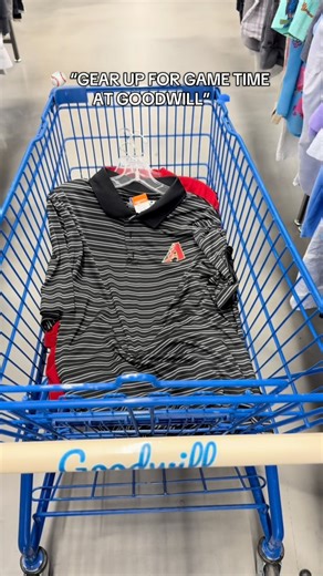 Gear up for game time at Goodwill 🏟️ Show your team spirit with shirts from your favorite teams and more. 🧢 #Goodwill #Thrifting #Baseball #SpringTraining #IGotItAtGoodwill | Goodwill of Central and Northern Arizona