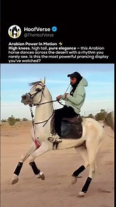 Arabian Horse Dance Power ⚡ #shorts