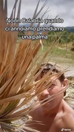 Spiagge di Calabria e Sicilia: Un'Ironia da Scoprire