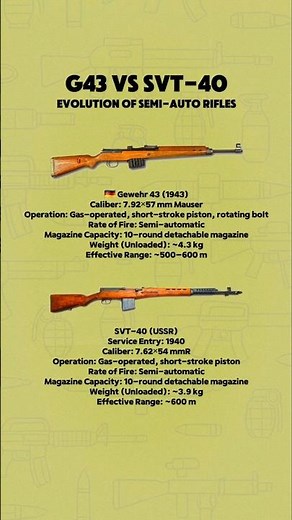 Gewehr 43 vs SVT-40: A Quick Technical Breakdown