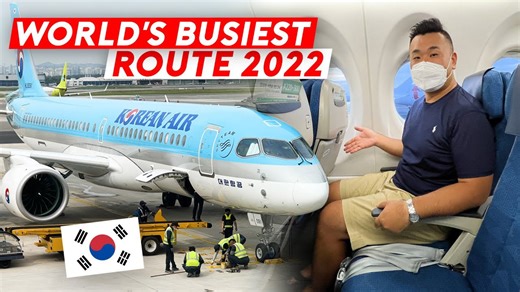 Discover the world's busiest flight (2023)