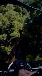 BREAKING Leaked military footage shows U.S. forces chasing a mysterious alien creature deep in the Amazon jungle. Locals report strange lights, power blackouts, and government drones blocking access | Telecentro Tingo María