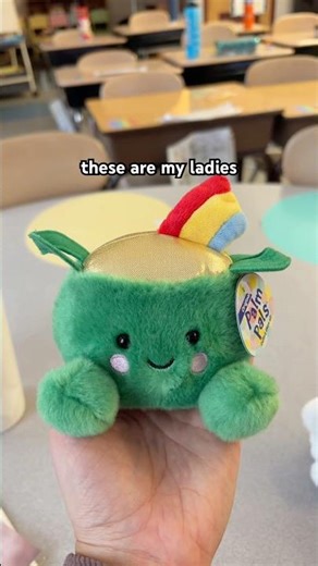 nothing like using adorable, seasonal stuffies for classroom management🧸