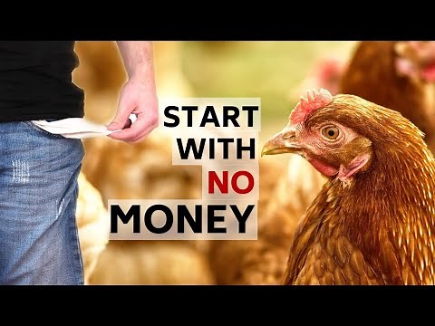 How to Start a Poultry Farm With LITTLE or NO MONEY | How to Get Funds to Start a Poultry Farm