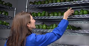 costco has debuted an edible coating giving your avocados twice as much life