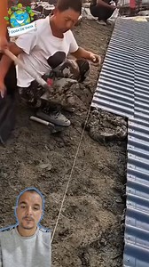 740K views · 2.5K reactions | Acoperis realizat din ciment cu tabla! Ati mai vazut asa ceva? #tricks #acoperis #tabla #construction | Doza de Viata | Facebook