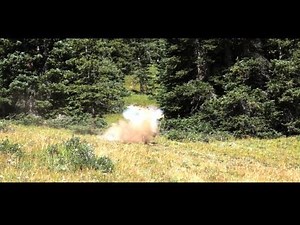 Propane Tank Explosion by Gun Fire - MUST SEE WEIRD EXPLOSION