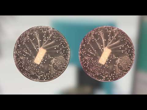 SphereFlash® AI Colony Counting Software