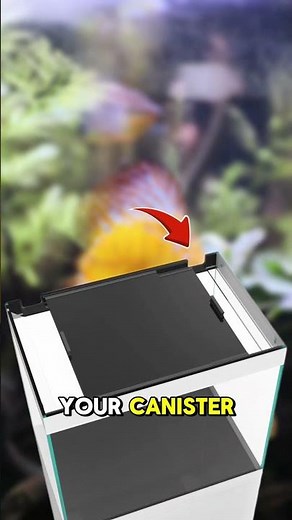 The Best Box is a Waterbox!