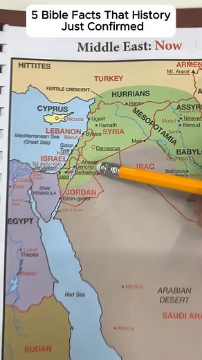  Ever wished you could see the entire Bible’s story come alive? From Genesis to Revelation, the Rose Book of Bible Charts, Maps & Time Lines reveals how every event, person, and place connects through history. Understand Scripture visually — with clarity and wonder.  Get your copy today and rediscover God’s Word like never before. | Nova Seraphina | Facebook