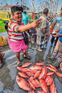 Viral Ravi அண்ணனின் Vera leval Funny Fish auction video. Step into the world of fish auctions with Ravi, the life of the auction! With his boundless energy and comedic flair, Ravi turns the usually mundane task of bidding into a sidesplitting spectacle. From his exaggerated gestures to his witty comebacks, every moment is filled with laughter and excitement. Don't miss out on the chance to witness Ravi in action as he reels in the crowd and the bids with his one-of-a-kind charm! #thenkadalmeenav