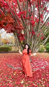 4.2K views · 137 reactions | Hello gorgeous!  We just added this cute dress to our fall collection, get yours now  https://beautyinmodestyboutique.com/products/the-ahia-maxi-dress | Beauty In Modesty Boutique | Facebook