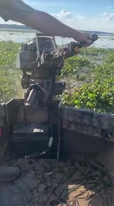 Into the thick of it 😏 #ProDriveOutboards #FPR #SurfaceDrive | Pro-Drive Outboards