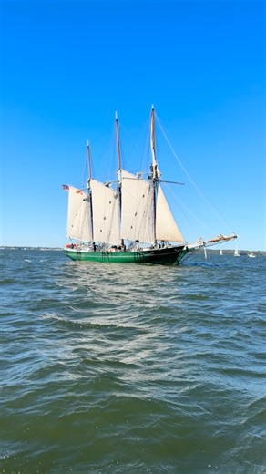 What a rush to be aboard the broadcast boat at the start line of the Great Chesapeake Bay Schooner race! 4-ft swells and 16-kt puffs made for an exciting start. Each one of these vessels would be a treat to spot on the Bay… let alone a couple dozen at once. @motoxdms was clutch with the snug pilothouse, @davidgendell with the race tactics and Patrick Smith of @prideofbaltimore with schooner commentary. Best of luck to all the race boats! #schooner #schoonerrace #chesapeakebay #greatchesapeakebay
