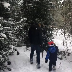 6.3K views · 426 reactions | Christmas tree hunting with the family. Thinning out the forest in a blizzard. Happy holidays, folks. #adventuremindful #neverstopexploring #wildandfree #wildandfreechildren #hikingwithkids #childhoodunplugged #christmastree | Timothy Olson | Facebook