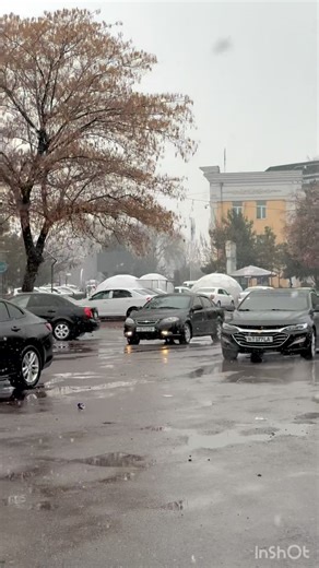 Namangan_zaks moshinalar on Instagram: "Shoshilina 🤣🤣🤣 902616666"