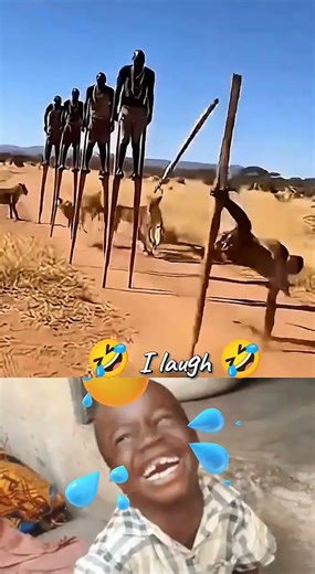 Time for Animals vs people #funny