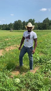 1.1K reactions · 94 shares | It’s TIMEEEEEE!!!! We will have some available this weekend at Prescott Raceway July 22!!!! #watermelon #watermelonseason #Arkansas #produce #farmlife #peace | Sarah Lynn | Facebook