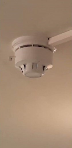 Apollo XP95/Discovery Smoke Detector and Base Sounder - 19.10.2019