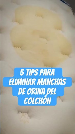 How to remove urine stains from your mattress quickly and easily