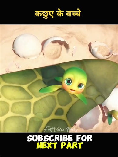 Newly Hatched Baby Turtles: Nature's Marvel Unveiled